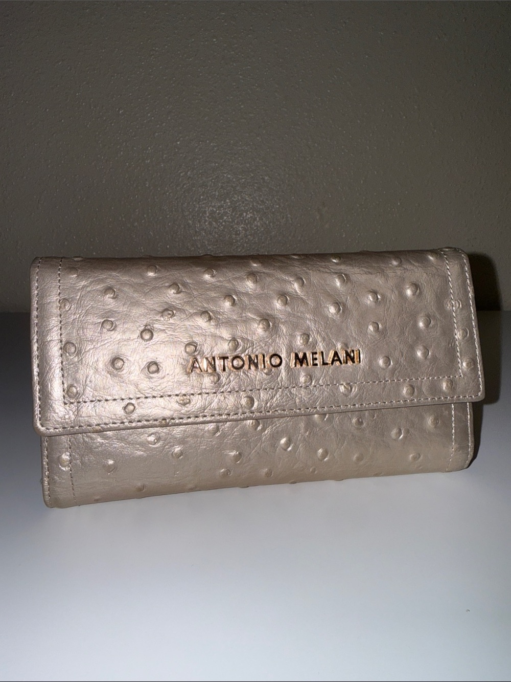 ANTONIO MELANI Metallic Beige Textured Clutch Wallet
